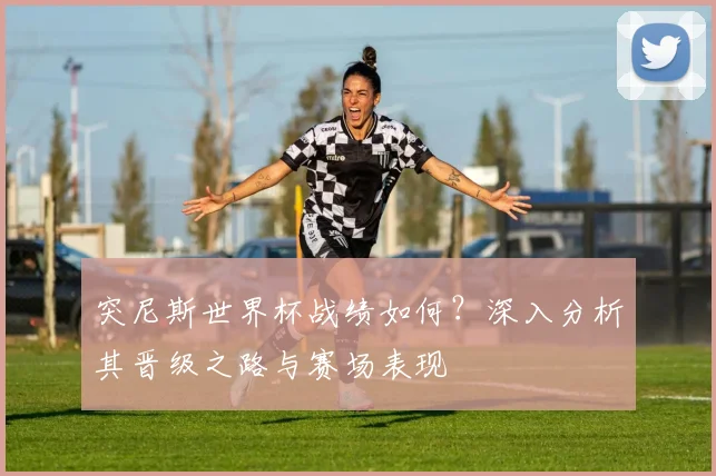 突尼斯世界杯战绩如何？深入分析其晋级之路与赛场表现